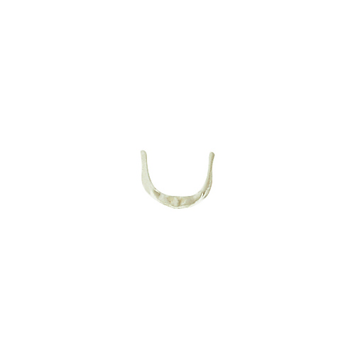 Somso Hyoid Bone