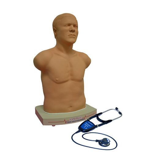 The SAM Basic - Auscultation Manikin Torso