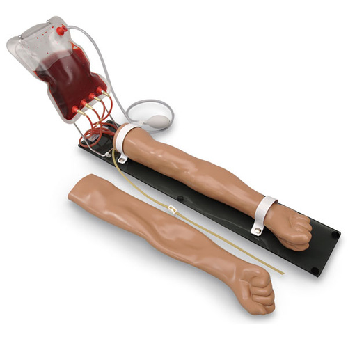 Gaumard Venous Training Arm