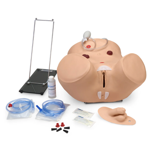 Gaumard Advanced Patient CareMale and Female Catheterization Simulator