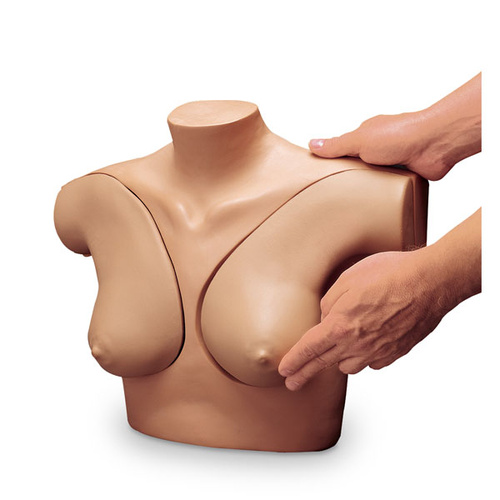 Gaumard Breast Self-Examination Simulator
