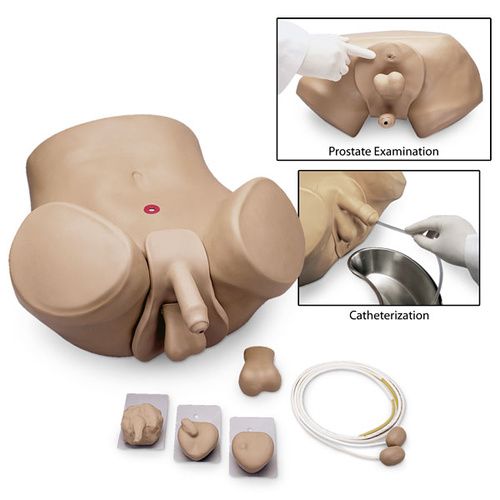 Gaumard ZACK Multipurpose Male Care Simulator