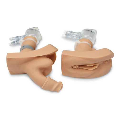 Willi and Cathi Catheterization Trainers