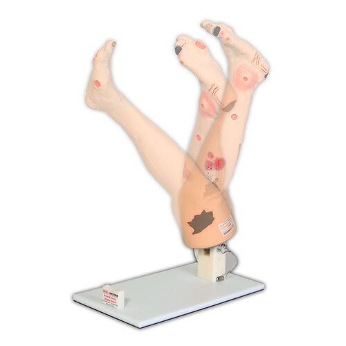 Optional Display Stand