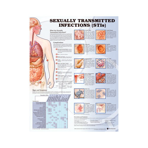 Anatomical Chart- Sexually Transmitted Infections 
