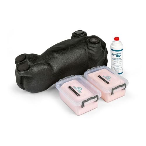 'Lillie' Canine Ultrasound Phantom Training Kit