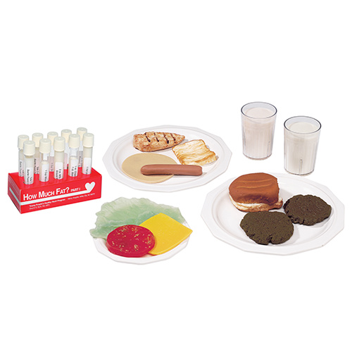 How Much Fat? Food Replica Package and Test Tube Display