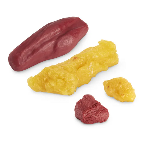Fat & Muscle Replica Set 1LB & 5LB