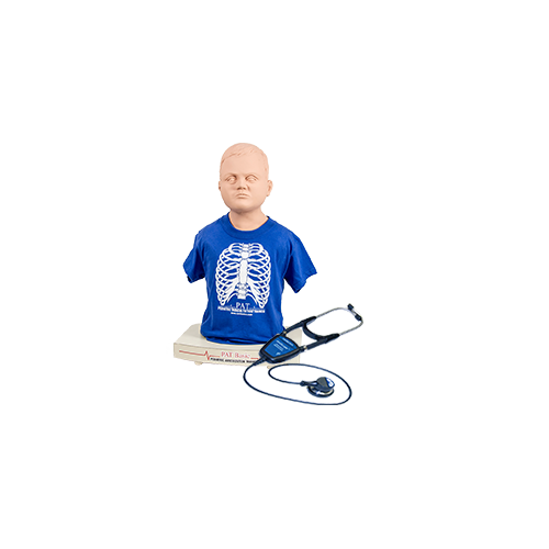 PAT Basic - Auscultation Manikin Torso