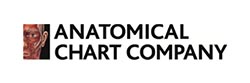 Anatomical Chart Co