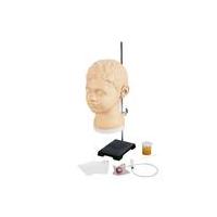 Ear, Nose and Throat (ENT) Examination