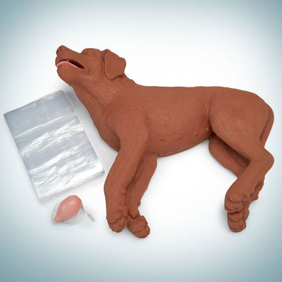 Veterinary Skills
